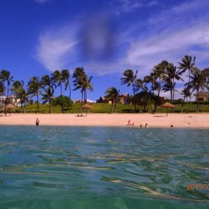 Meet your Posher, Shannel